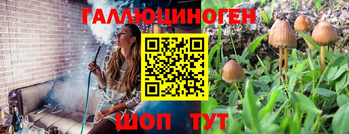 Галлюциногенные грибы мухоморы Биробиджан