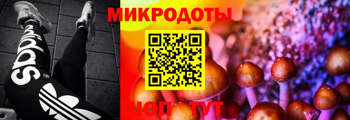 Биробиджан  Галлюциногенные грибы MAGIC MUSHROOMS  Вход с VPN  Галлюциногенные грибы ЛСД 